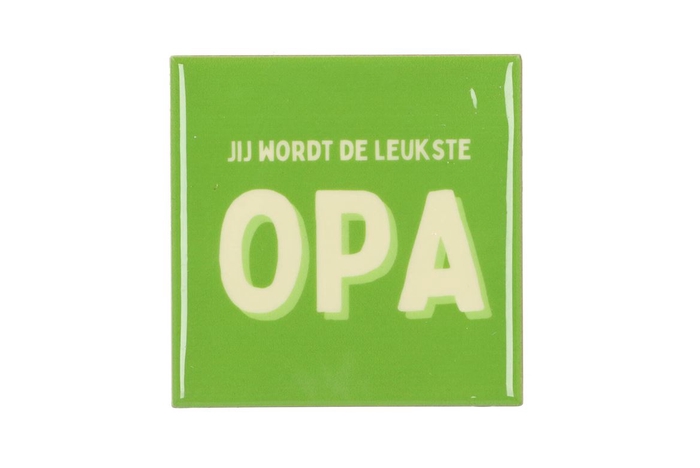 <h4>Tile Leukste Opa Green 10x10x1cm</h4>