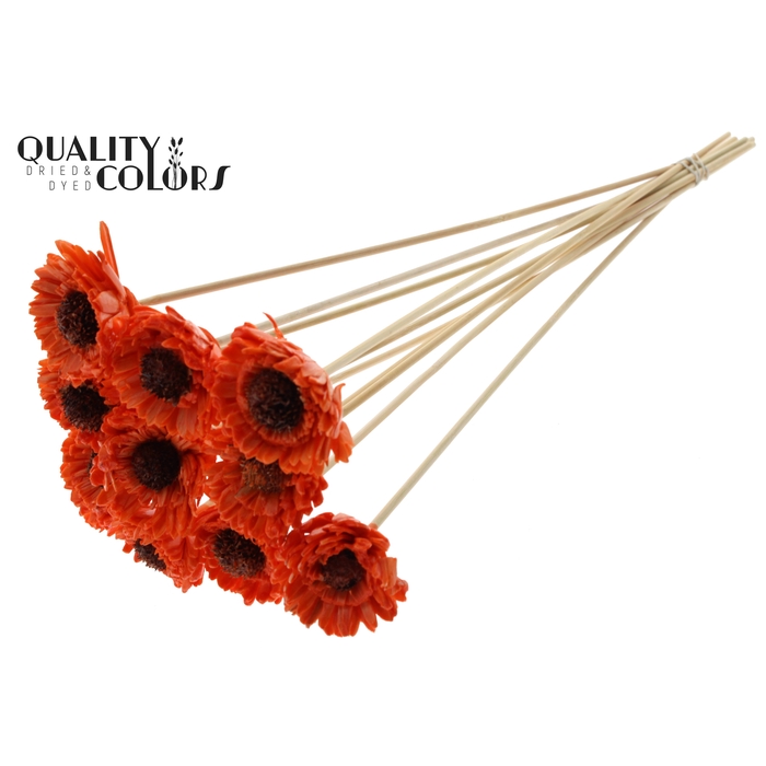 <h4>Shola Daisy Sunflower 6cm on stem Wax Orange</h4>