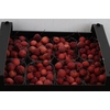 Sier Malusappel Dark Red X10