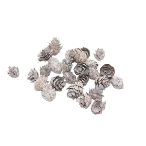 Pinecone Baby 150g L2
