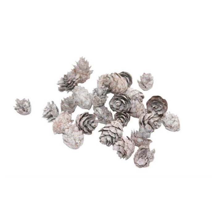 <h4>Pinecone Baby 150g L2</h4>