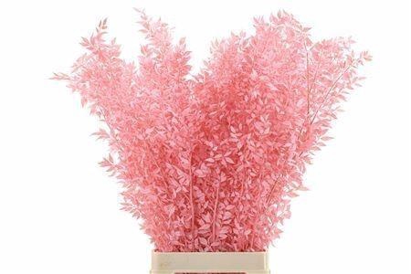 <h4>DROOGBL BEWERKT H%</h4>
