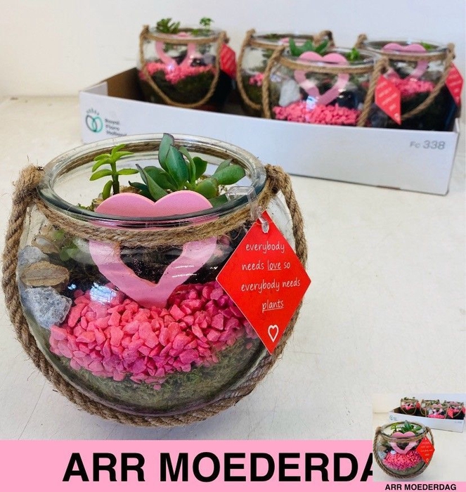 <h4>ARR KAMERPL</h4>