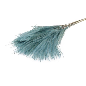 Bunch Fluffy Silver Grass 10pcs L75