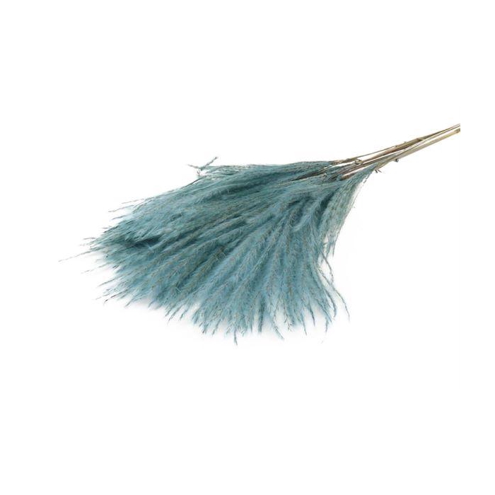 <h4>Bunch Fluffy Silver Grass 10pcs L75</h4>