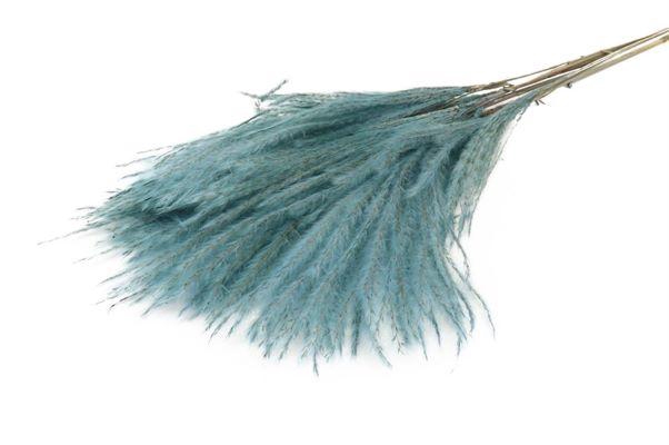 Bunch Fluffy Silver Grass 10pcs L75