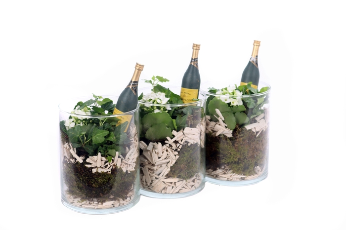 <h4>Opgemaakt cilinder glas met mos, Hedera, Kalanchoe en fles bij</h4>