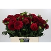 Dahlia Cognac Brandy