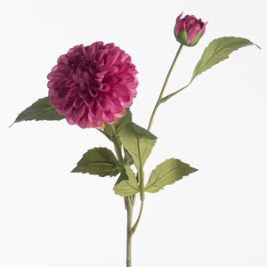 AF Dahl Pompon x2 L61cm Beauty