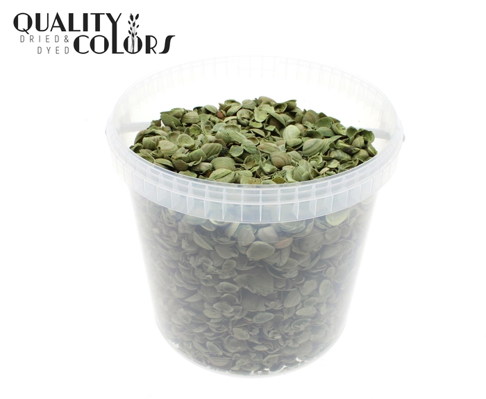 Shells north sea 10 ltr Light Green