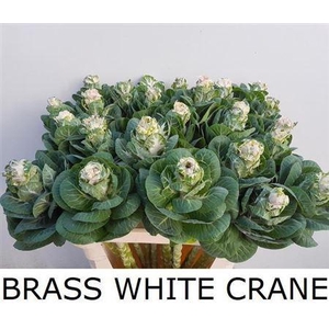 BRASS WHITE CRANE