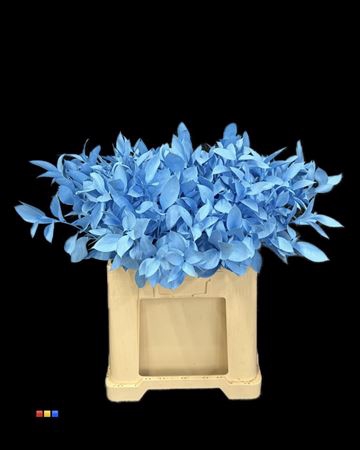 <h4>Ruscus Light Blue</h4>