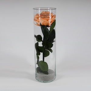 Cilinder d9x30h perzik glas