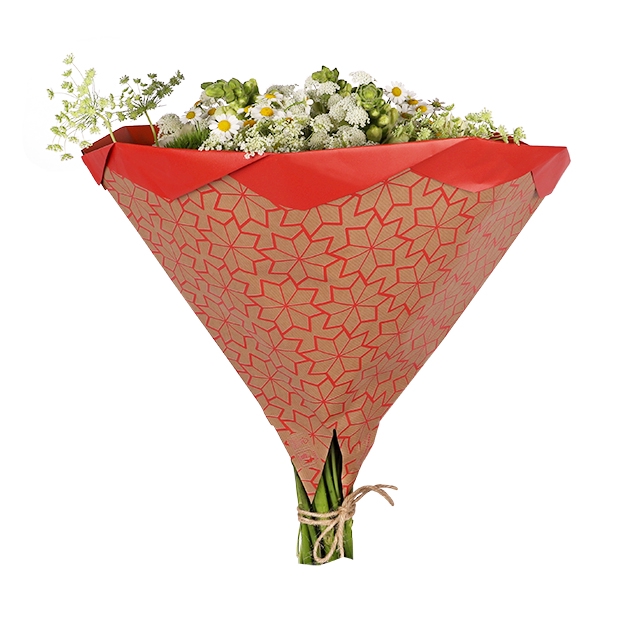 <h4>Hoes 35x35cm Foldio 50gr Recycled kraft Bluma rood 250/ds</h4>