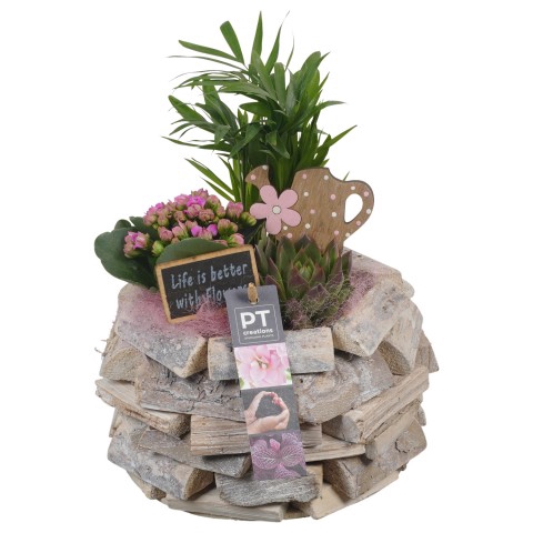 <h4>PTIB6542 Arrangement Indoor in houten pot</h4>