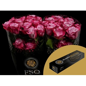 R GR Deep Purple Box