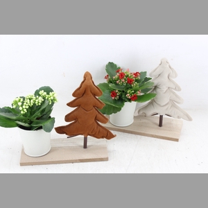 arr2 MB - Plank kerstboom kalan. mix