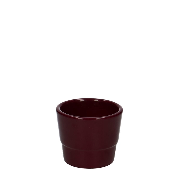 <h4>Keramiek Pot Basic d07*06cm</h4>