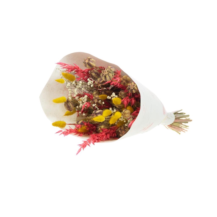 <h4>Bouquet Loose Fit Phoenix Mixed</h4>