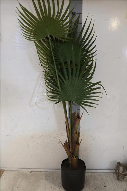 <h4>HUIS EN TUINDECO H%</h4>