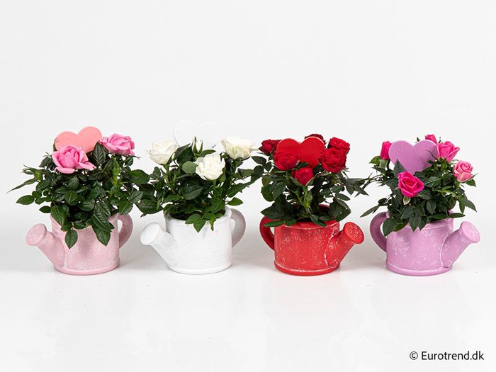 <h4>ROSA-HYBRID KUVERT</h4>