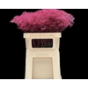 Gyps Klb Fine Cerise