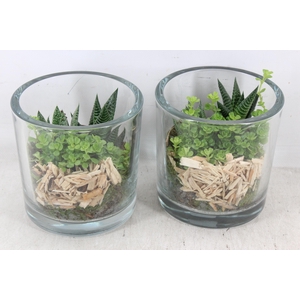 arr3 SN - Glas pot dik