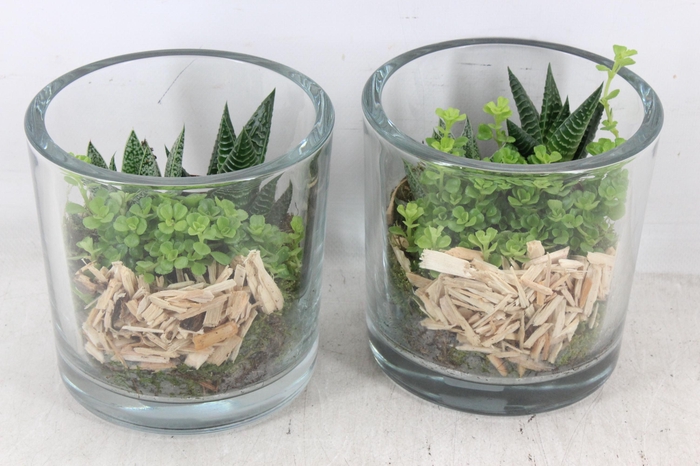 <h4>arr3 SN - Glas pot dik</h4>