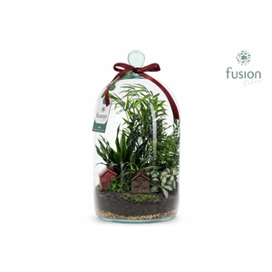 Green BottleNovella Large met arrangement