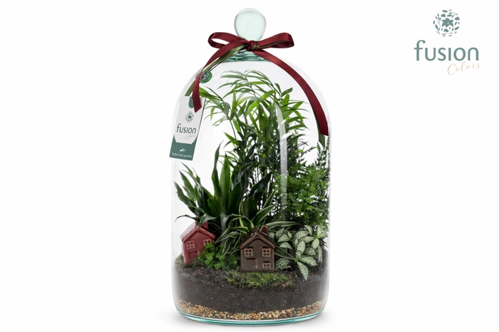 <h4>Green BottleNovella Large met arrangement</h4>