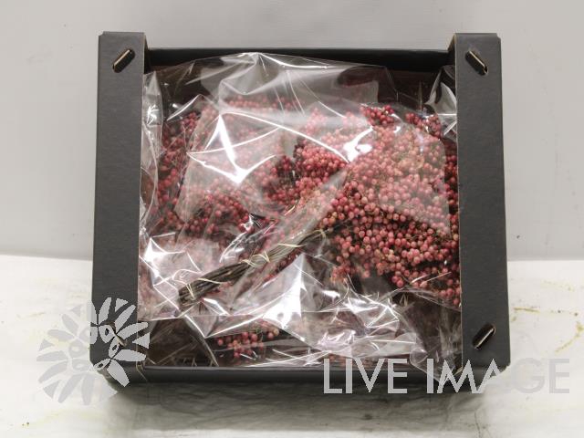 <h4>Dried schinus mollis naturel 5/bunches</h4>