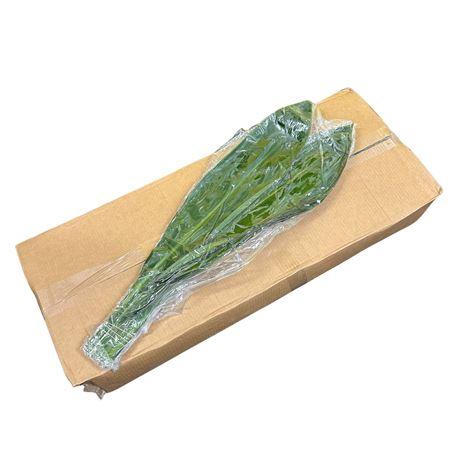 <h4>CORDYLINE GREEN TIE 80CM VAC.</h4>