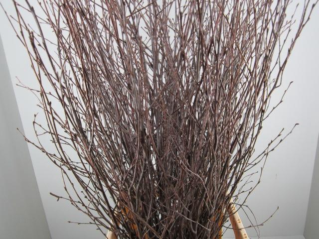 <h4>Betula Naturel L120</h4>