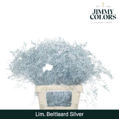 <h4>Lim Bel L70 Metallic silver</h4>