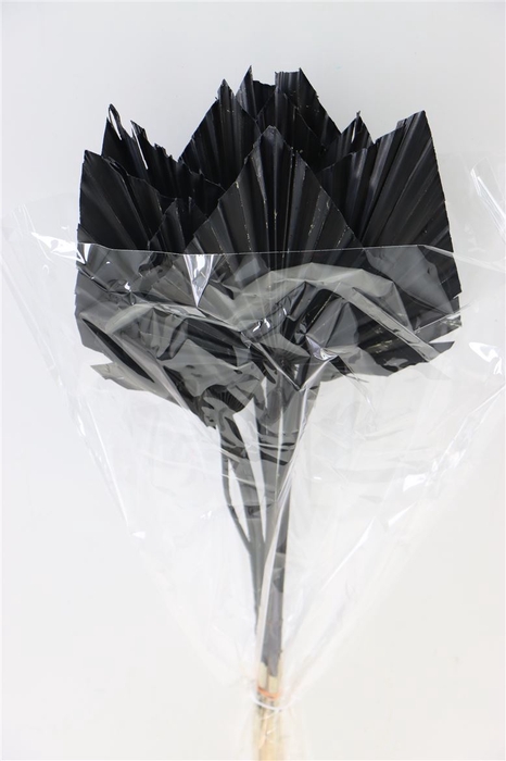 <h4>Dried Palm Spear 10pc Black Bunch</h4>