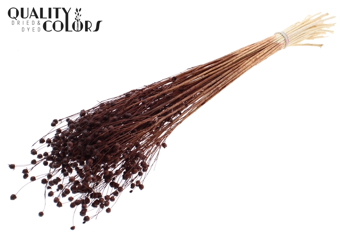 <h4>Lino Vlas per bunch in poly Intense Brown</h4>