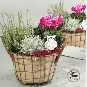 ARR TUINPLANTEN