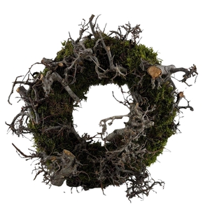 Krans Moss Bonsai 30cm