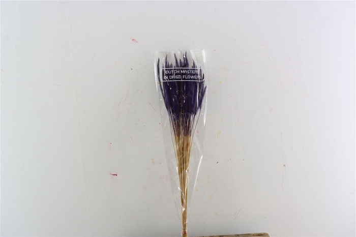 Dried Soft Silk Worms Purple Bunch