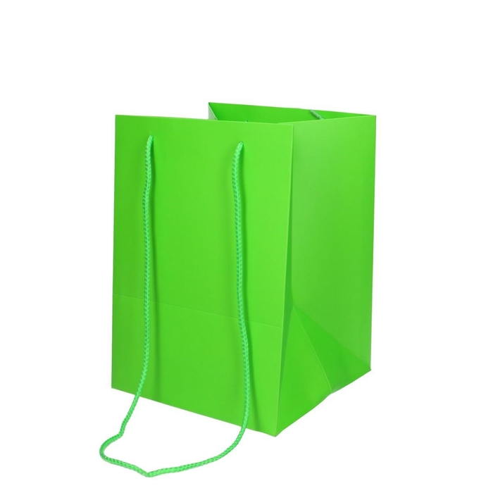 <h4>Olympic 25*18*18cm</h4>