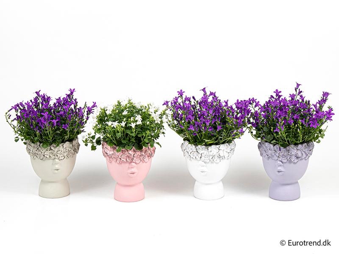 <h4>E 3920 GM/WGM 10,5</h4>