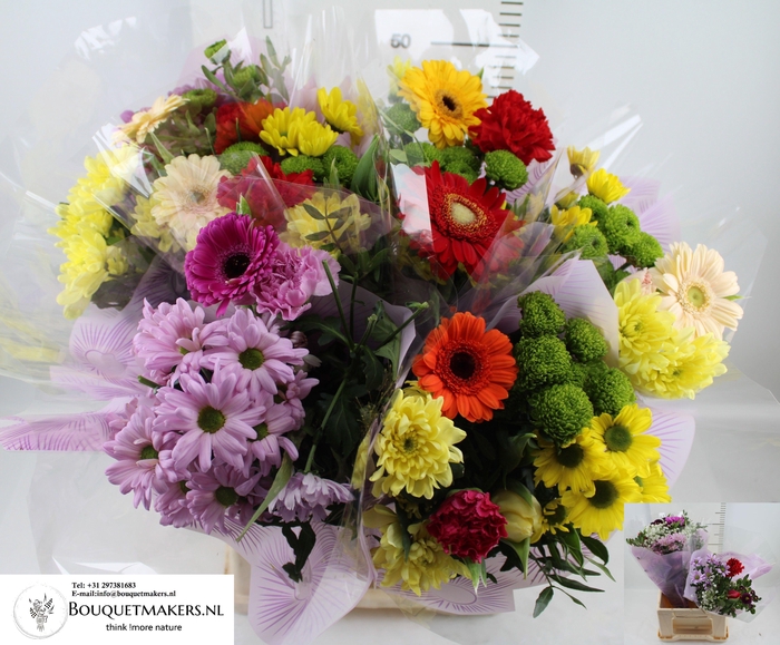 <h4>GEM BOEKET OV</h4>