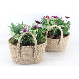 arr4 Outdoor PL - Mand hengsel ovaal 344/4