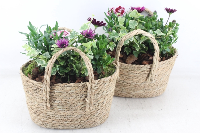 <h4>arr4 Outdoor PL - Mand hengsel ovaal 344/4</h4>