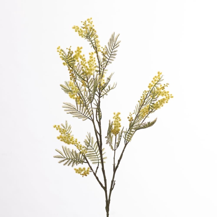 <h4>AF Mimosa L113cm Yellow</h4>