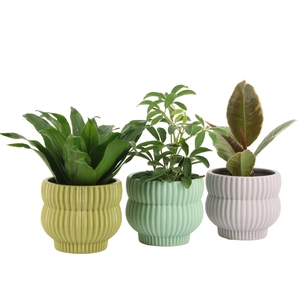 7501370: Solutionss Consideration