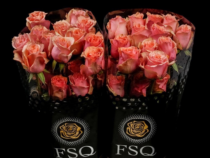 <h4>R GR Lolita</h4>