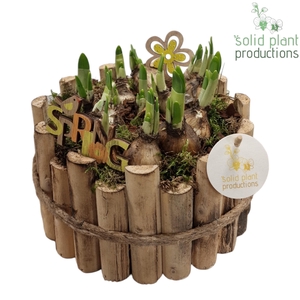 HTE002 Milano Large Tête-á-Tête