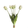 AF Tulip Parrot x5 L40cm Wh/Gr