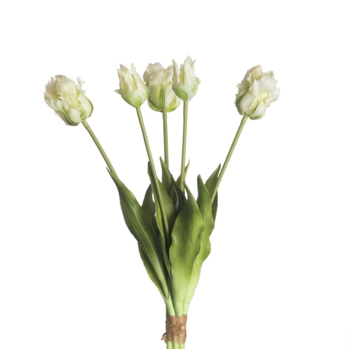 AF Tulip Parrot x5 L40cm Wh/Gr